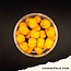 Carpworld.com Carpworld.com X F.F EsterSquid12 Wafters