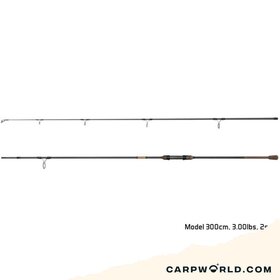 Delphin Symbol Carp 10ft 3.00lb