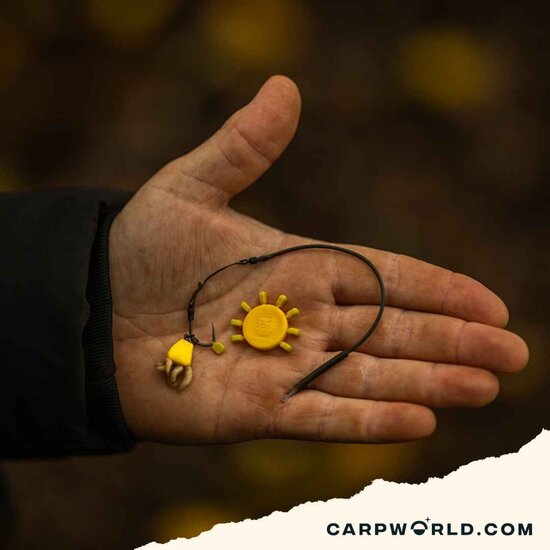 Pole Position Pole Position Tungsta Corn Shot