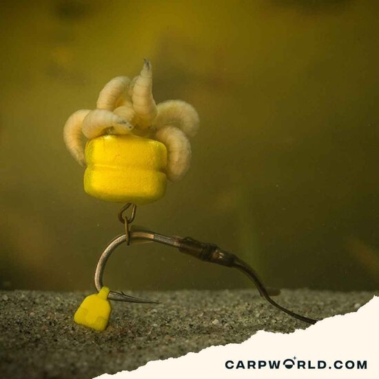 Pole Position Pole Position Tungsta Corn Shot