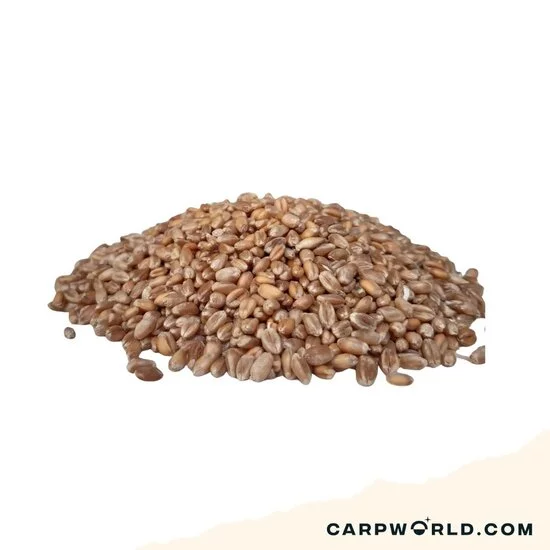 Evezet Tarwekorrel 5kg