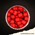 Carpworld.com Carpworld.com X F.F EsterSquid12 Wafters