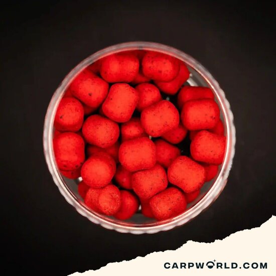 Carpworld.com Carpworld.com X F.F EsterSquid12 Wafters