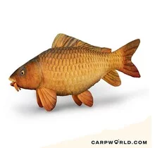 Delphin Carpy Knuffel 60cm