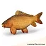 Delphin Delphin Carpy Knuffel 60cm