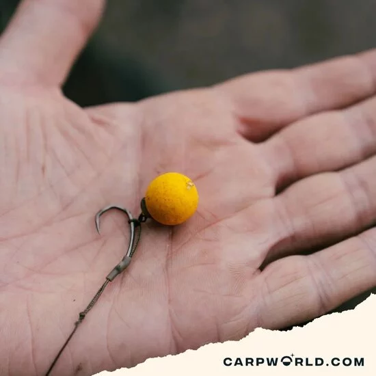 Nash Nash Lock & Load Bait Stop Kit