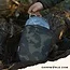 Solar Tackle Solar Worldwide Scales Pouch