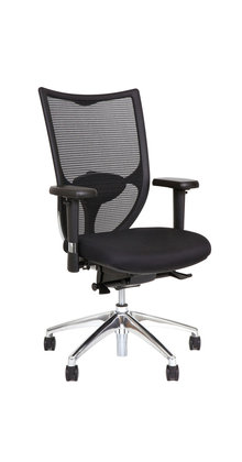 Ergonomische bureaustoel Fitea