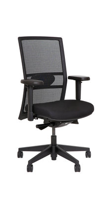 Ergonomische Bureaustoel Ergonet
