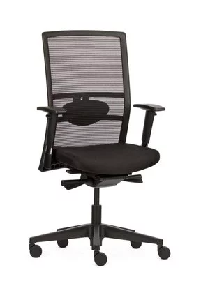 Ergonomische Bureaustoel Sanea Mesh