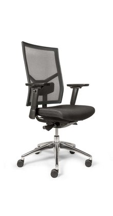 Ergonomische Bureaustoel Ergoline Comfort Mesh