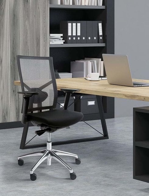 Ergonomische Bureaustoel Ergoline Comfort Mesh