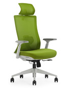 Ergonomische Bureaustoel Verona Groen | NEN 1335 Ergonomische Bureaustoel Verona Groen | NEN 1335