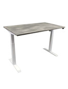 Elektrisch Zit Sta Bureau Ecoflex | Diverse Afmetingen