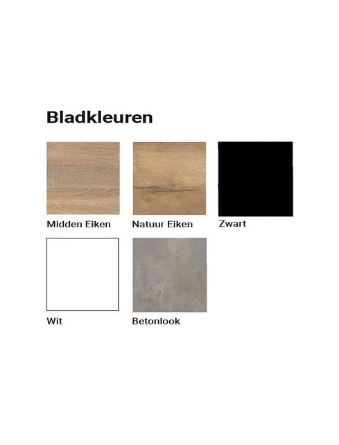 Elektrisch Zit Sta Bureau Ecoflex | Diverse Afmetingen