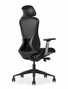 Schaffenburg 600 Ergonomische Bureaustoel