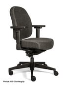 Bureaustoel Therapod X Compact