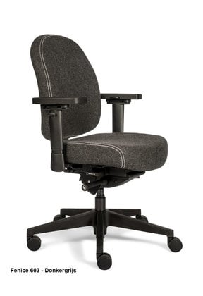 Bureaustoel Therapod X Compact
