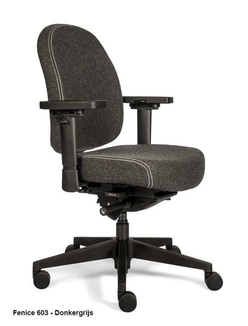 Bureaustoel Therapod X Compact