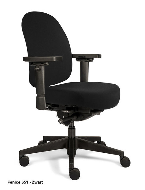 Bureaustoel Therapod X Compact