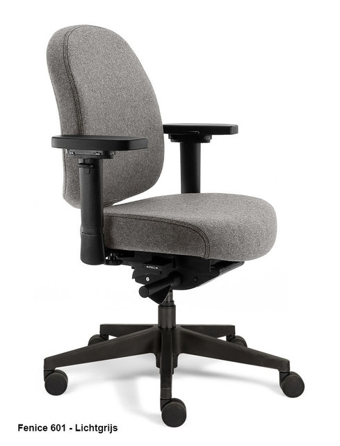 Bureaustoel Therapod X Compact