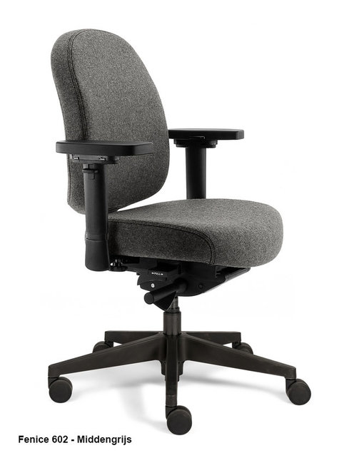 Bureaustoel Therapod X Compact