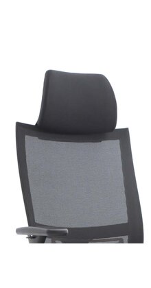 Hoofdsteun Bureaustoel Euroseats Curve