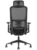 Emma Ergonomische Bureaustoel – Zwart