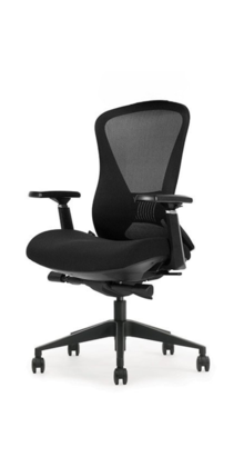 Schaffenburg 600 Ergonomische Bureaustoel