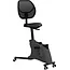 Euroseats Ross bureaufiets