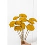 Gele Achillea Parker droogbloemen | 10 stelen per bos | Lengte 65 centimeter