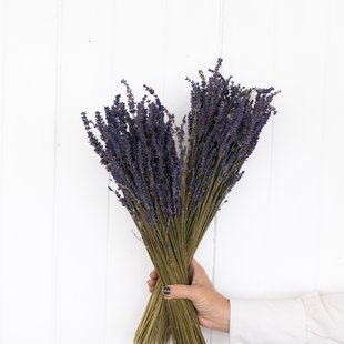 OFFER - 2 bunches of Lavender 100 grams per bunch