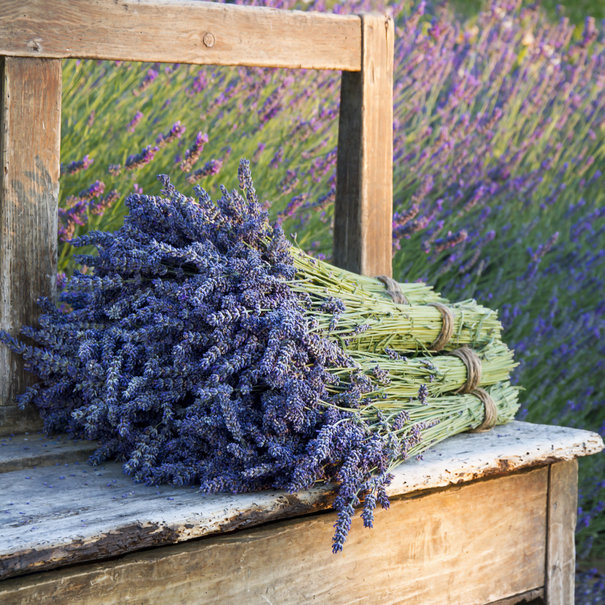 MyFlowers Two bunches of dried Lavender | 100 grams per bunch | Super Deal