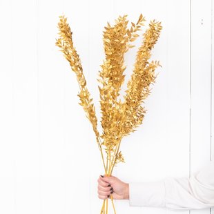 Dried Ruscus ´Di Natalia´ gold coloured