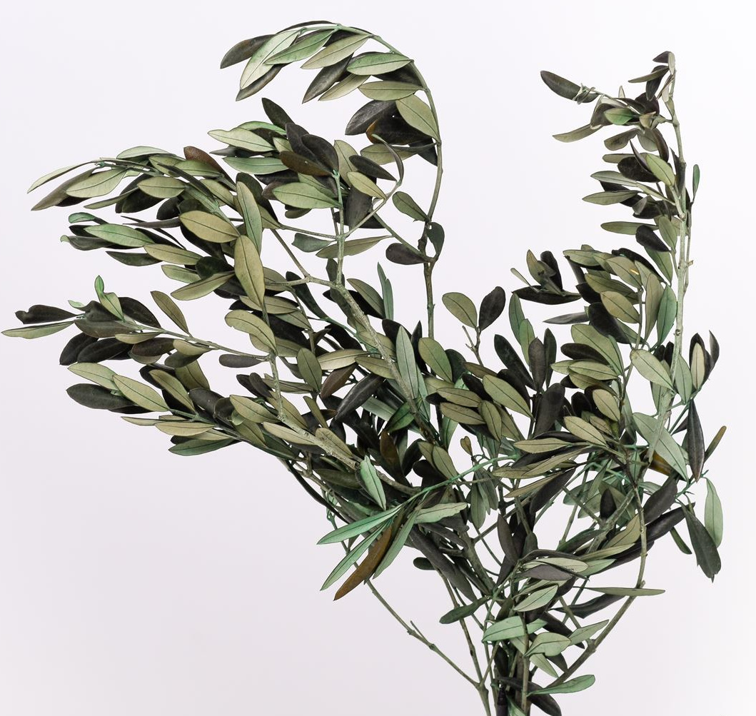 Artificial Olive Seeds Leaf Garland, 60