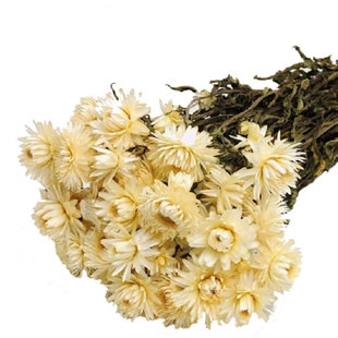 Gedroogde Helichrysum strobloem wit