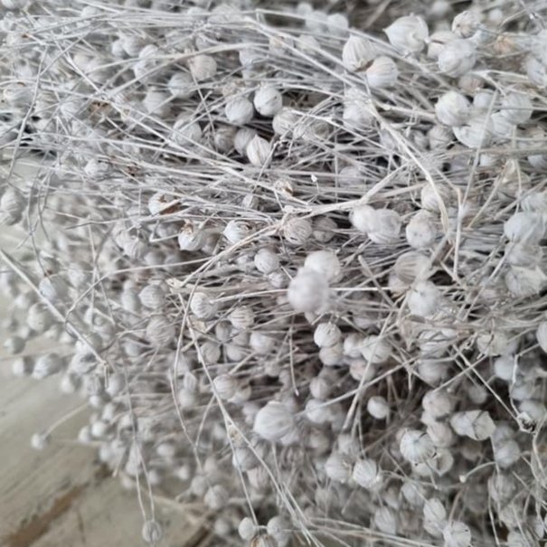 Bries aan Zee White flax wreath | Wreath of dried flax | Diameter 30 centimetres