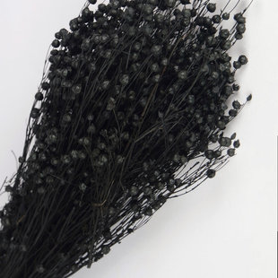 Dried flax black