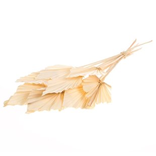 Dried bleached palm leaves spear-shaped