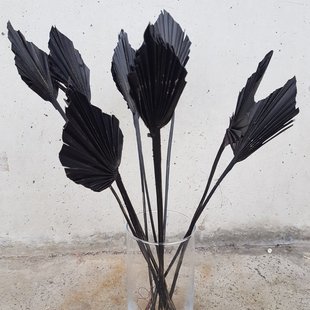 Dried palm leaf spear shape black