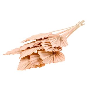 Dried Palmspear 10 pieces coral colour misty