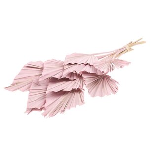 Dried Palmspear 10 pieces pink misty