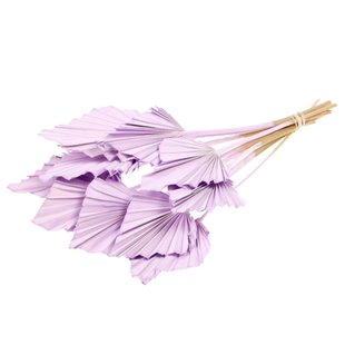 Dried Palmspear 10 pieces lilac pastel