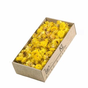 Gedroogde Helichrysum koppen geel