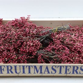 Dried bundle of pepper berries 35cm pink