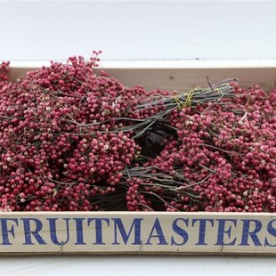 Gedroogde bundel peperbessen 35cm roze
