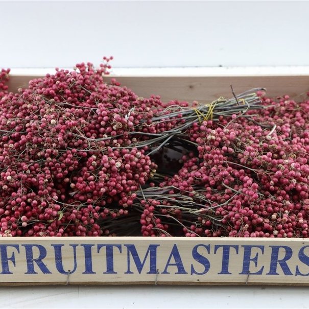 Bries aan Zee Gedroogde roze peperbessen per bos