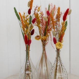 Set Loua Mix | 3 vaasjes droogbloemen gemengde kleuren