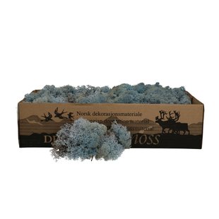 Lichtblauw rendiermos | decoratie mos | Per 400 - 500 gram