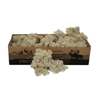 White natural reindeer moss | decorative moss | Per 400 - 500 grams